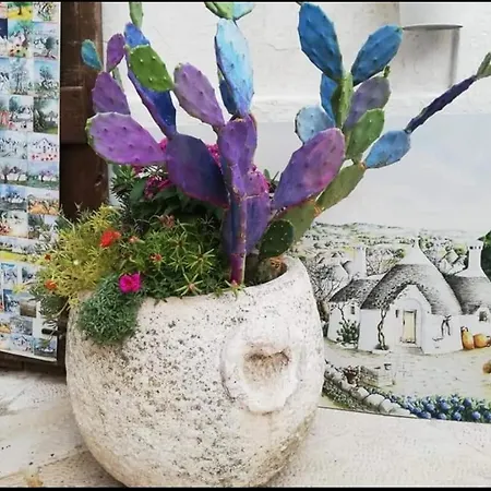 Апартаменты Casa Monna Локоротондо