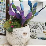 Appartement Casa Monna Locorotondo
